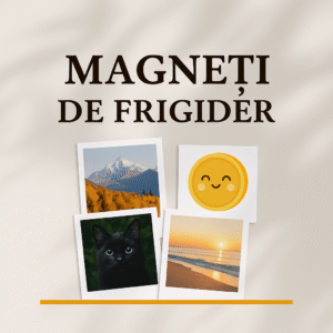 Magneti de Frigider