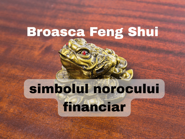 Broasca Feng Shui – simbolul norocului financiar