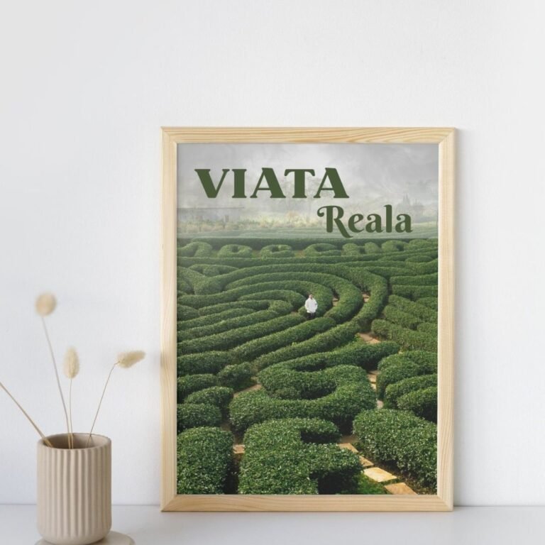 Tablou motivațional cu labirint – Mesaj Motivațional “Viata Reala”