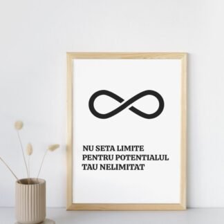 Tablou motivațional cu simbol energie infinit și mesaj „Nu seta limite pentru potențialul tău nelimitat” pe fundal alb negru decor living